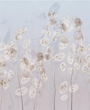 preview_picture